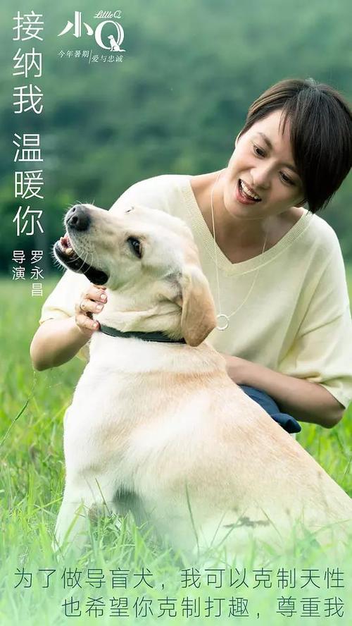 魁北克大学市场开发文凭证书